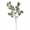 Eukaliptus populus..90cm - sztuczna roślina