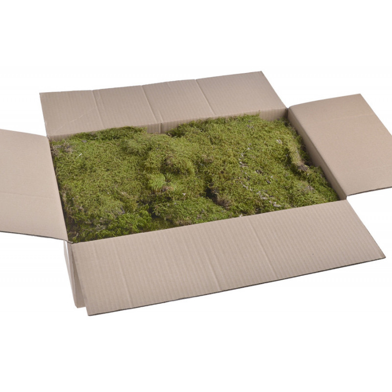 Flat Moss Mixed 2kg