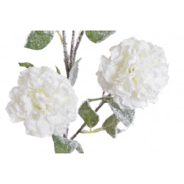Ośnieżona piwonia 4+1..115cm