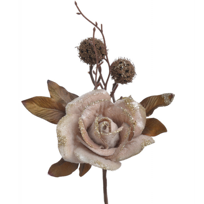 Róża brokacona pik..23cm