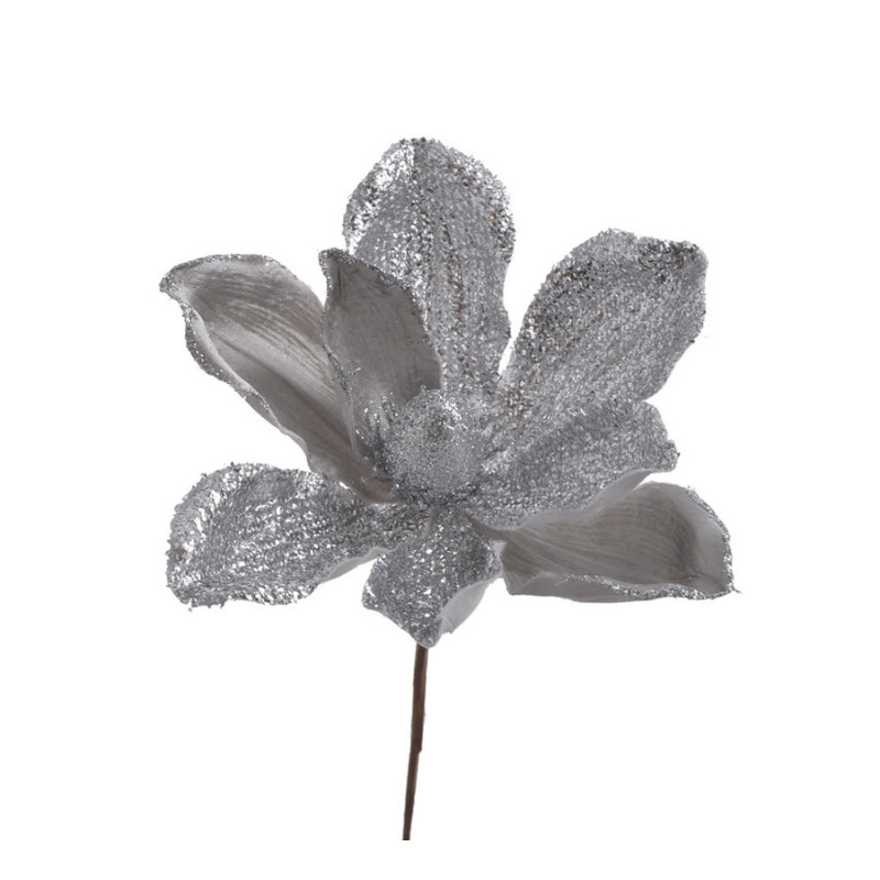 Magnolia brokacona x1 pik..20cmHx21cmØ