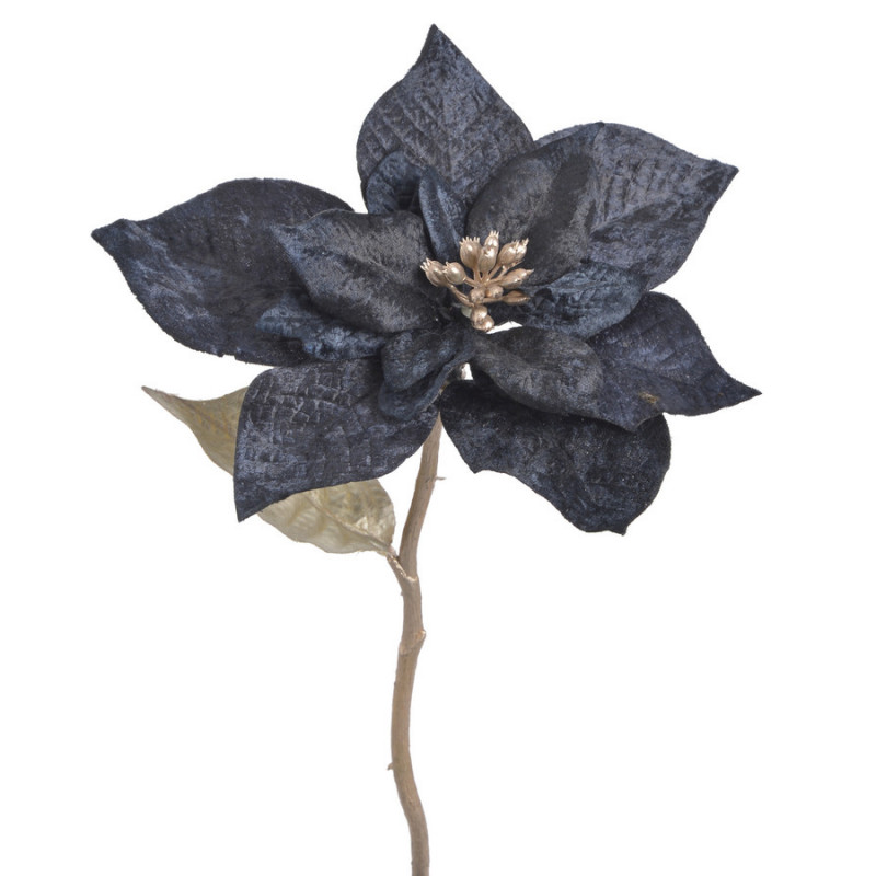 Poinsecja welwetowa x1 30cm