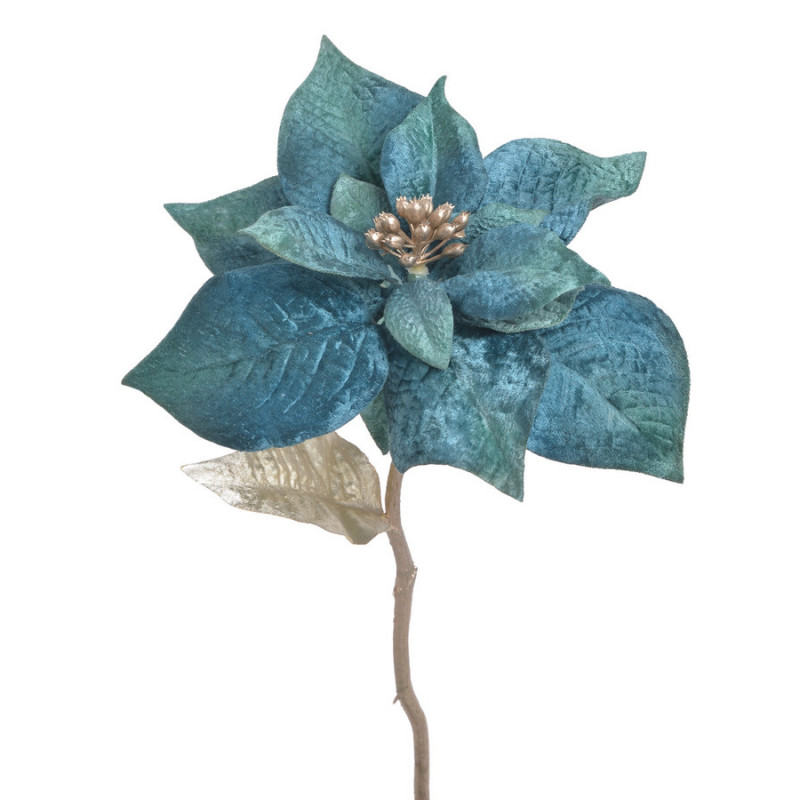 Poinsecja welwetowa x1 30cm