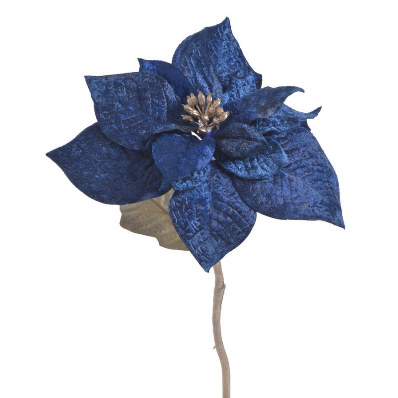 Poinsecja welwetowa x1 30cm