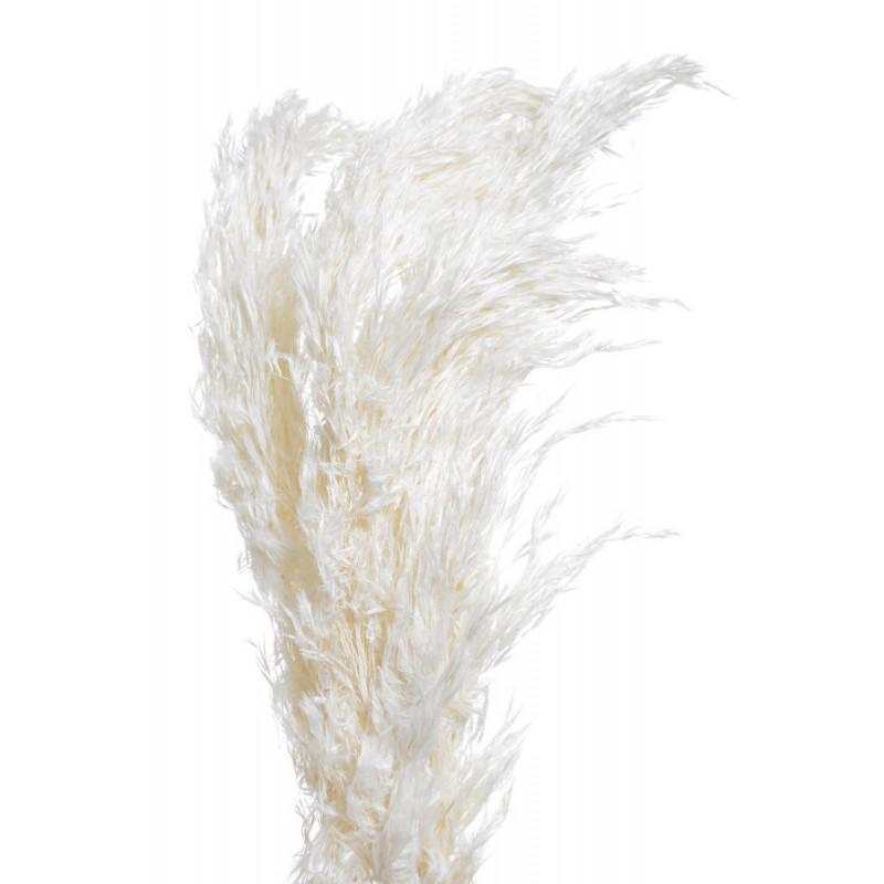 Trawa pampasowa 3szt/paczka WHITE..90-100cm