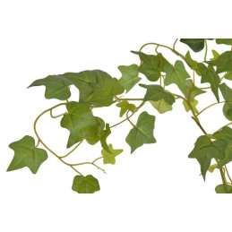 Bluszcz pospolity 170cm - sztuczna roślina