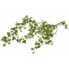 Bluszcz pospolity 170cm - sztuczna roślina