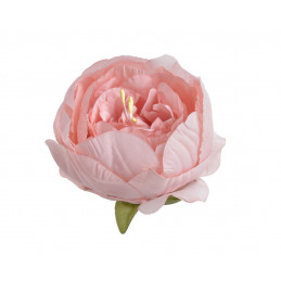 Piwonia główka 12szt-paczka...7cmx5,5cmH