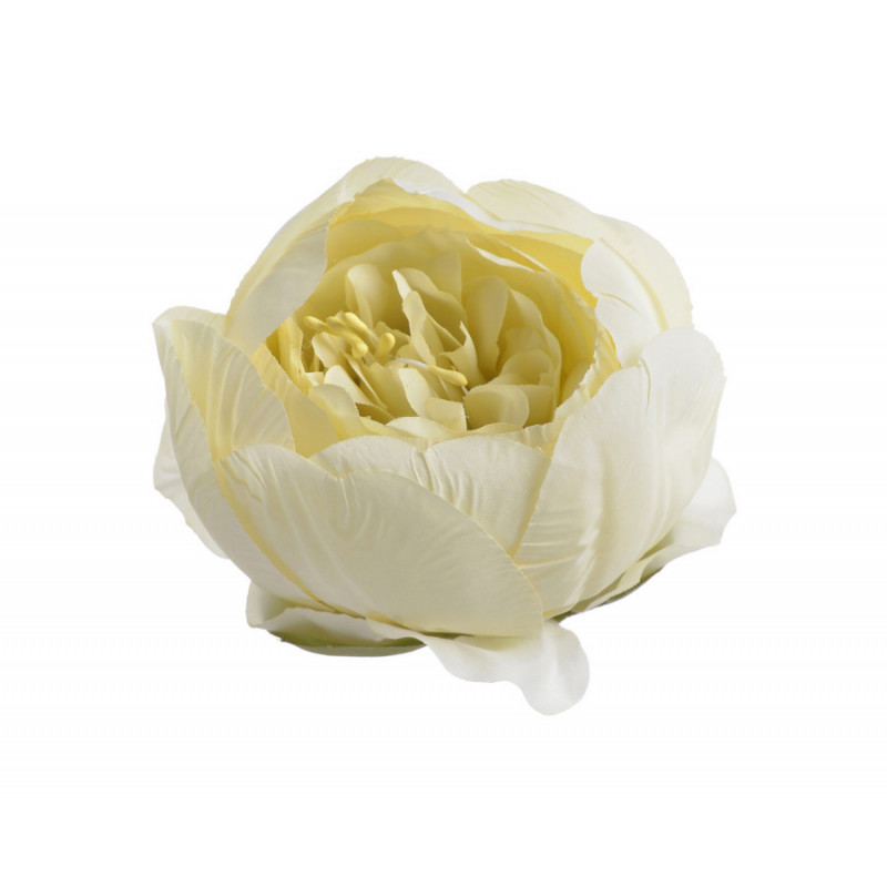 Piwonia główka 12szt-paczka...7cmx5,5cmH