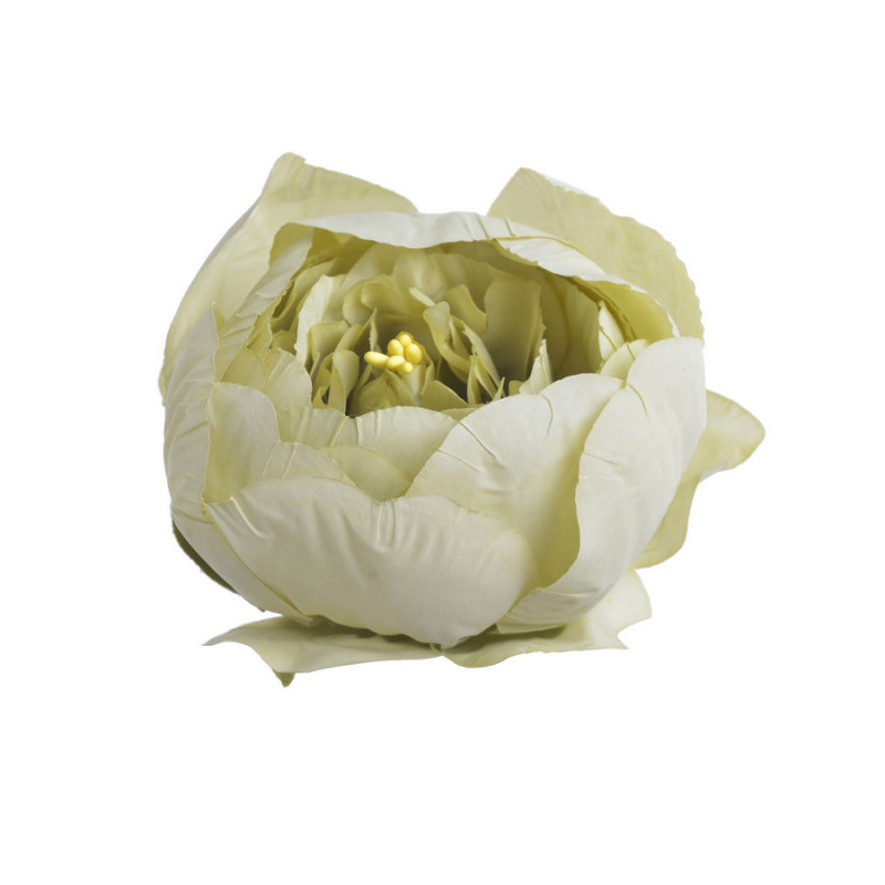 Piwonia główka 12szt-paczka...7cmx5,5cmH