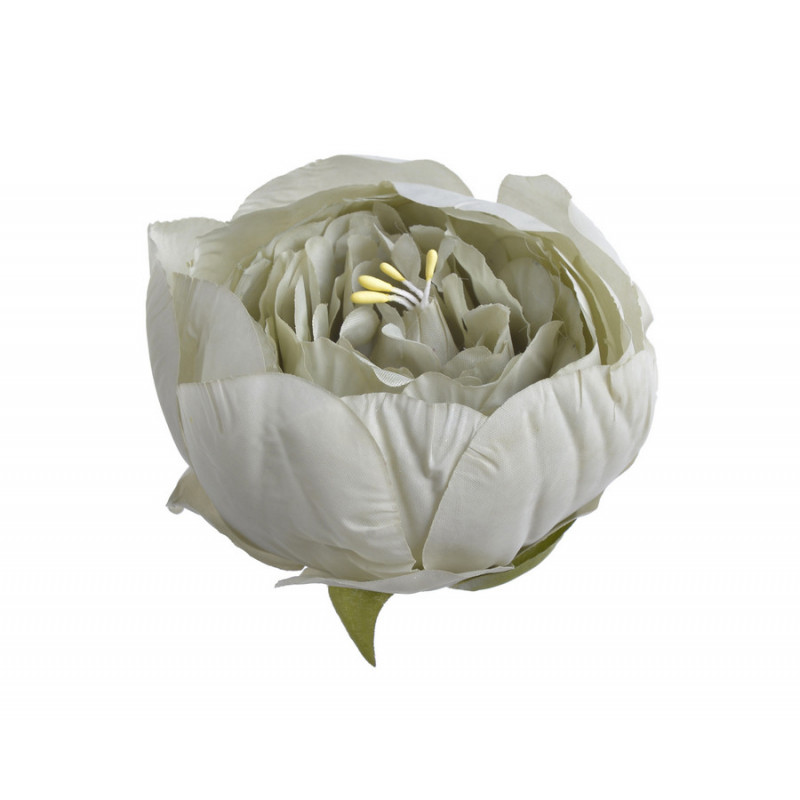 Piwonia główka 12szt-paczka...7cmx5,5cmH