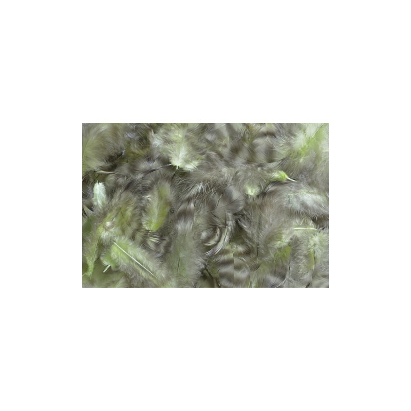 Pierze w paski, 5g..4-10cm