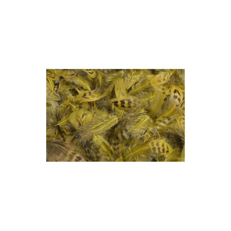 Pierze w paski, 5g..4-10cm