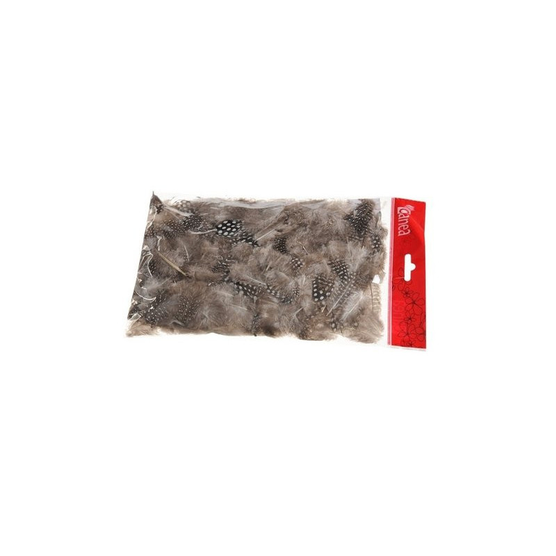 Piórka nakrapiane 5g