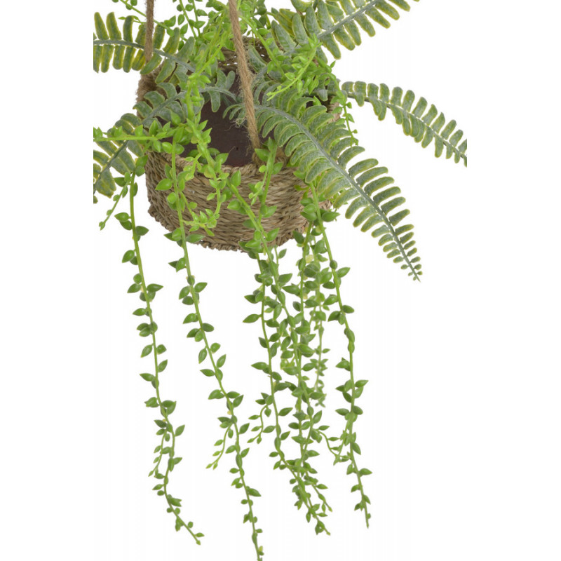 Starzec Rowleya wisząca doniczka -sztuczna.roślina