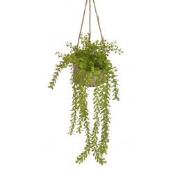 Doniczka wisząca z rośliną..80 cm