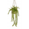 Starzec Rowleya wisząca doniczka -sztuczna.roślina