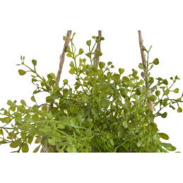 Doniczka wisząca z rośliną..80 cm