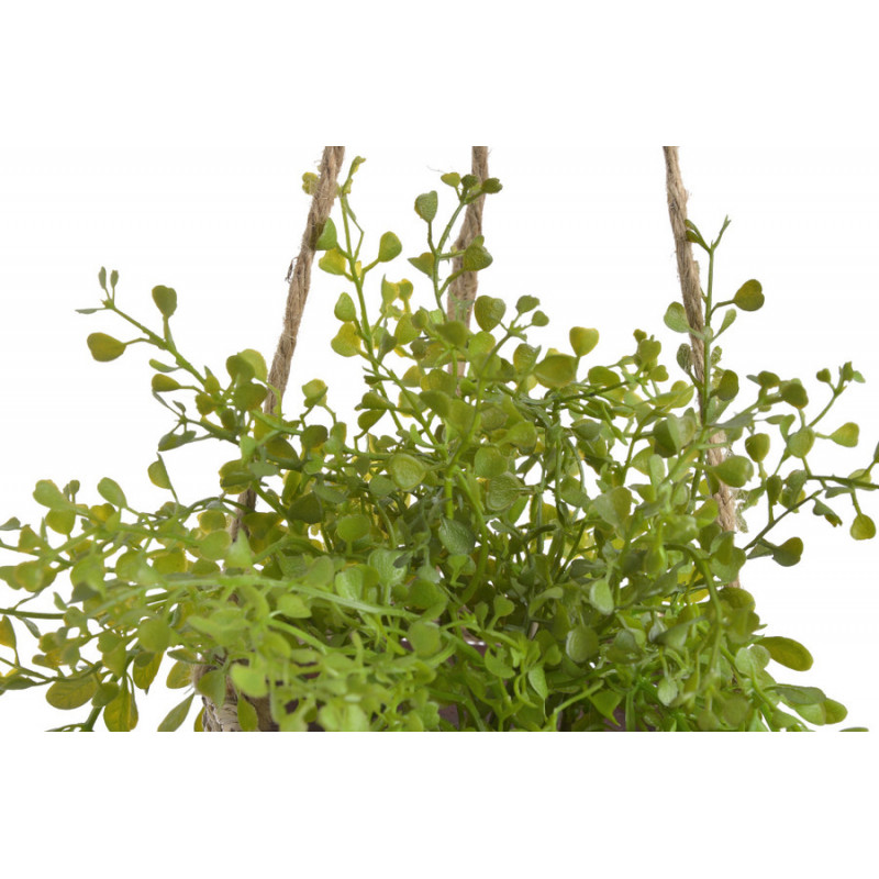 Doniczka wisząca z rośliną..80 cm