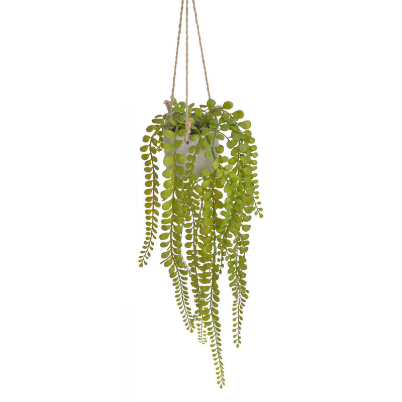 Doniczka wisząca z eukaliptusem..84 cm