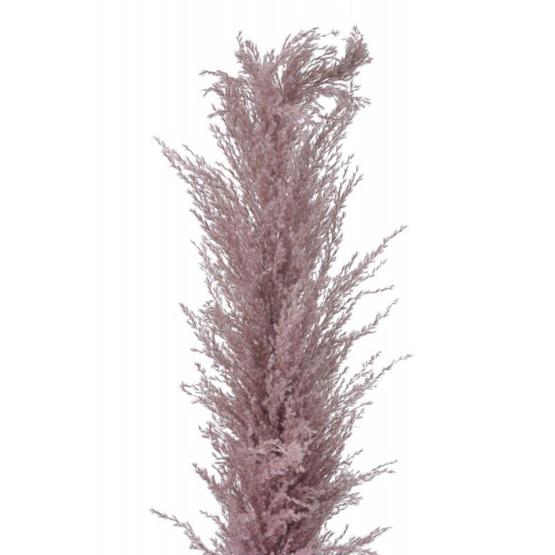 Trawa pampasowa 130cm - susz dekoracyjny