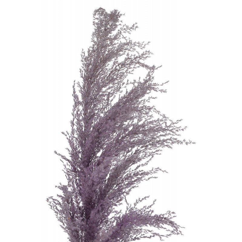 Trawa pampasowa 130cm - susz dekoracyjny