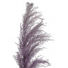 Trawa pampasowa 130cm - susz dekoracyjny