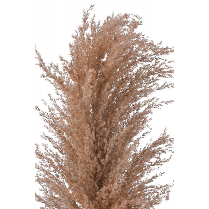 Trawa pampasowa 130cm - susz dekoracyjny