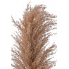 Trawa pampasowa 130cm - susz dekoracyjny
