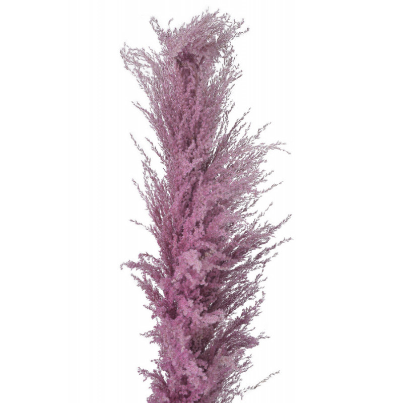 Trawa pampasowa 130cm - susz dekoracyjny