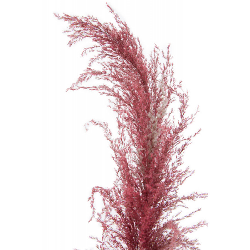 Trawa pampasowa 130cm - susz dekoracyjny