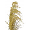 Trawa pampasowa 130cm - susz dekoracyjny