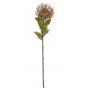 Leucospermum x1 73cm - sztuczna roślina