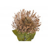 Leucospermum x1 73cm - sztuczna roślina