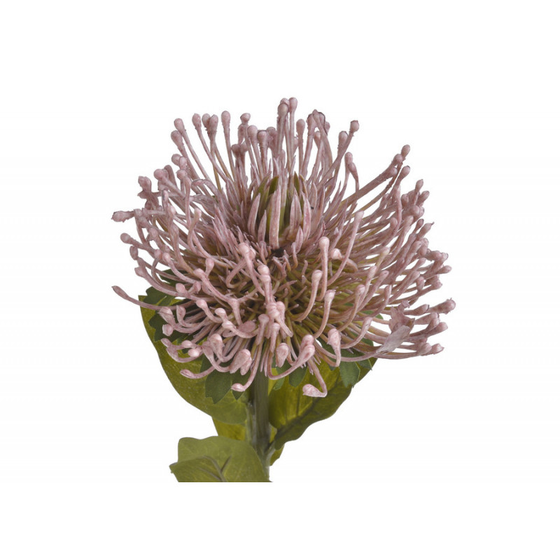 Leucospermum x1 73cm - sztuczna roślina