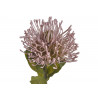 Leucospermum x1 73cm - sztuczna roślina