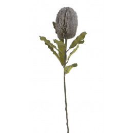 Banksja x1 65cm - sztuczna roślina