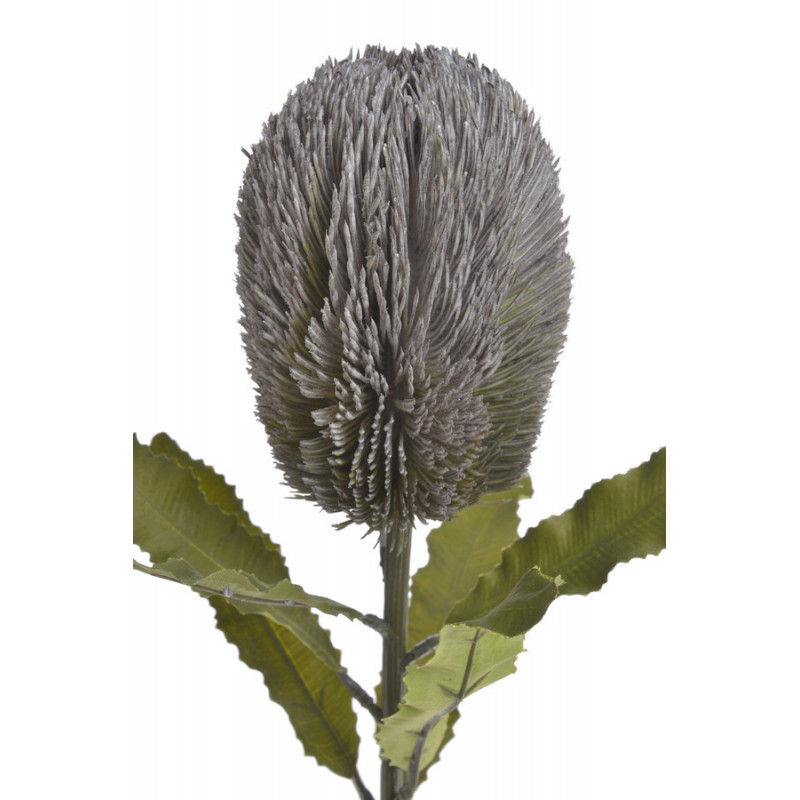 Banksja x1 65cm - sztuczna roślina