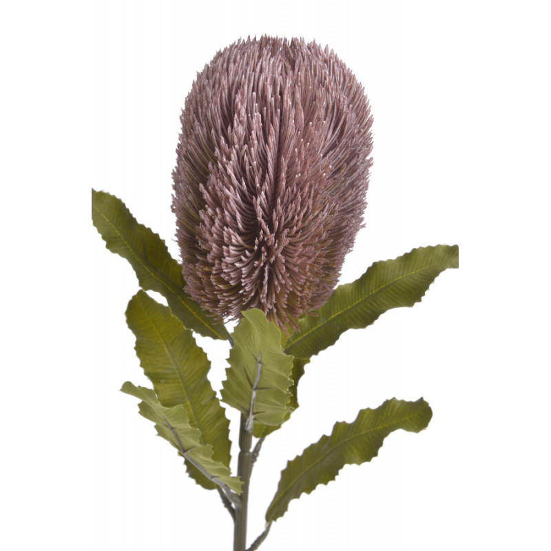 Banksja x1 65cm - sztuczna roślina