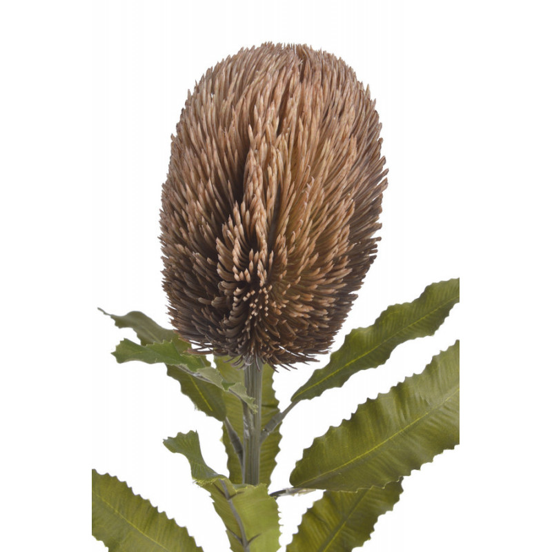 Banksja x1 65cm - sztuczna roślina