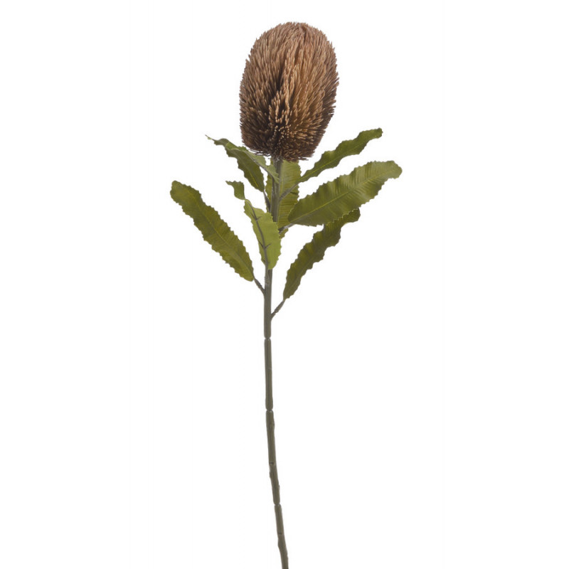 Banksja x1 65cm - sztuczna roślina