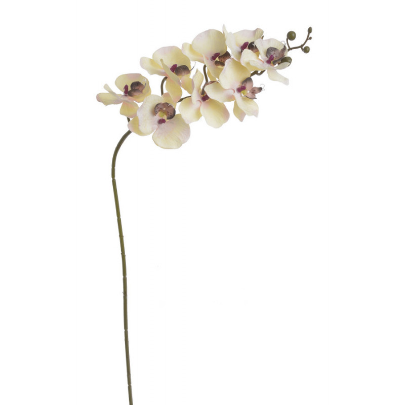 Storczyk..75cm - sztuczna roślina