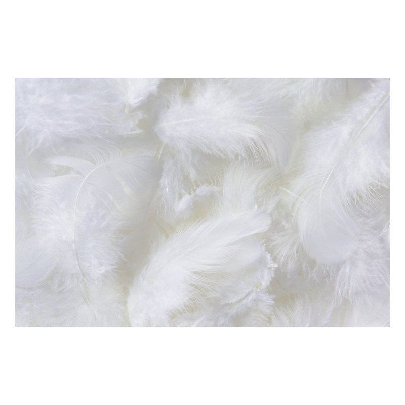 Pierze 10 g - MIX KOLORÓW