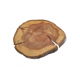 Plaster ŚLIWA 10-13-1 cm