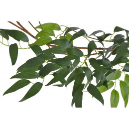 Wiszaca galazka 170cm