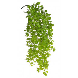 Eukaliptus wiszący..77cm - sztuczna roślina