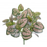Niedośpian 40cm - sztuczna roślina