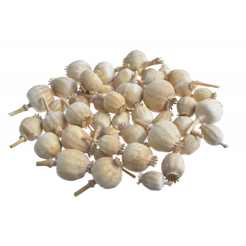 Makówka główka 200g-paczka..1,5-4cm