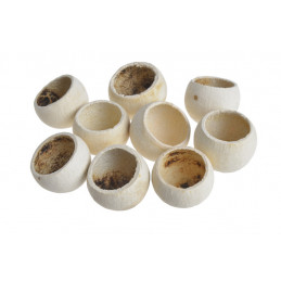 Bell cup mini wash 20szt-paczka..2,5-4cm  - susz