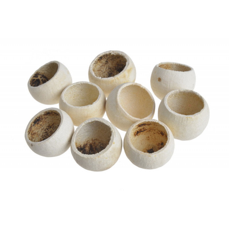 Bell cup mini wash 20szt-paczka..2,5-4cm  - susz